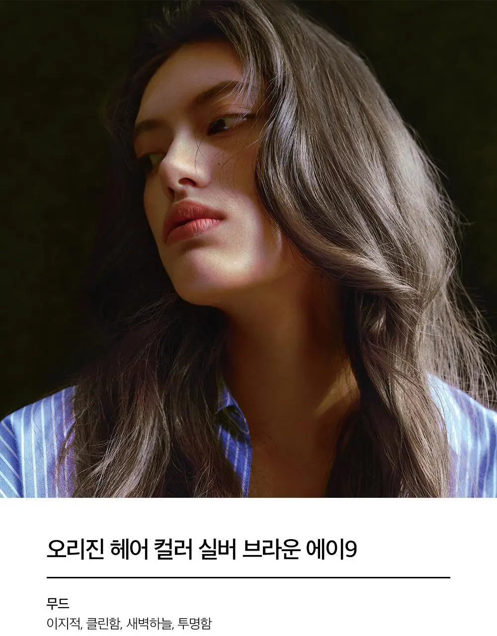 [세련됨] 차홍 오리진 헤어컬러 실버 브라운 Medium 상세페이지 3